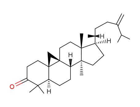 9,19-Cyclolanostan-3-one,24-methylene-