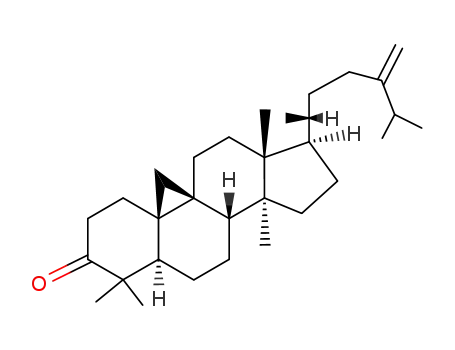 Molecular Structure of 1449-08-7 (9,19-Cyclolanostan-3-one,24-methylene-)