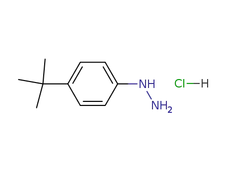 4-tert-ブチルフェニルヒドラジン?塩酸塩