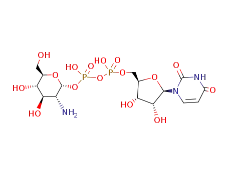 Molecular Structure of 1109-79-1 (uridine 5'-(2-amino-2-deoxy-α-D-glucopyranosyl)-diphosphate)