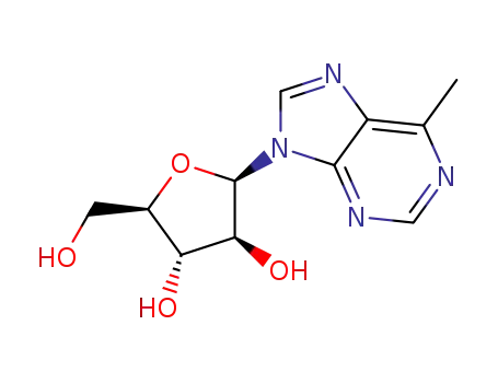 6-methyl-9-(β-D-arabinofuranosyl)purine