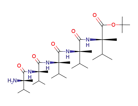 Molecular Structure of 467221-64-3 (H-[L-(αMe)Val]5-OtBu)
