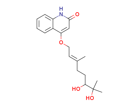 Bucharaine