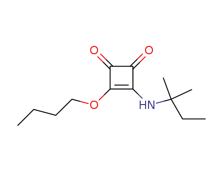 Molecular Structure of 201012-44-4 (3-butoxy-4-(1,1-dimethyl-propylamino)-cyclobut-3-ene-1,2-dione)