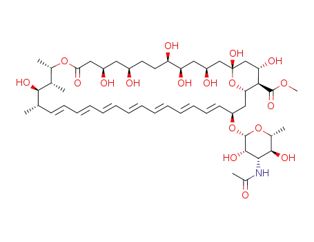 Molecular Structure of 62008-36-0 (N-Acetylamphotericin B methyl ester)