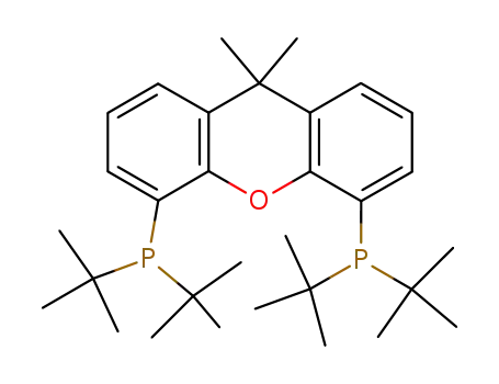 9,9-디메틸-4,5-BIS(DI-T-부틸포스피노)잔텐, MIN. 97% T-BU-산트포스