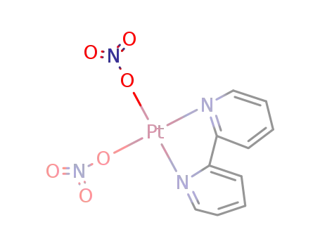 Molecular Structure of 54822-51-4 (Pt(2,2`-bipyridine)(ONO<sub>2</sub>)2)