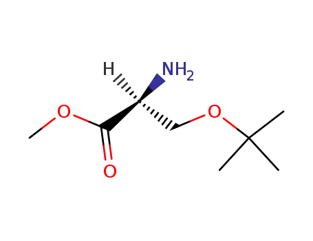 Molecular Structure of 17083-26-0 (H-SER(TBU)-OME HCL)