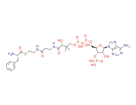 L-phenylalanoyl-CoA