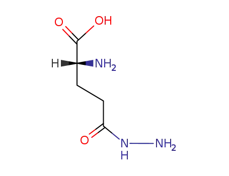 Molecular Structure of 19427-23-7 (D-glutamic acid-5-hydrazide)