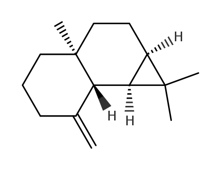 Molecular Structure of 20071-49-2 ((1aS,7aβ,7bα)-Decahydro-1,1,3aα-trimethyl-7-methylene-1H-cyclopropa[a]naphthalene)