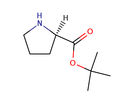 H-D-Pro-OtBu (syrup)