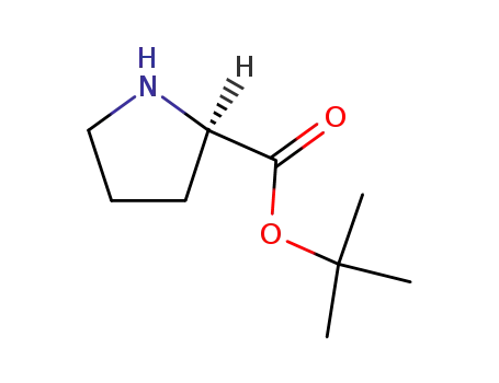 Molecular Structure of 90071-62-8 (H-D-PRO-OTBU)