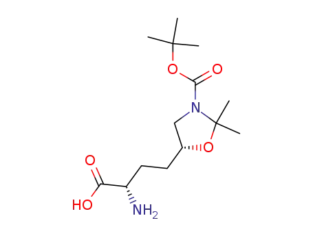 Molecular Structure of 321307-56-6 ((R)-5-((S)-3-Amino-3-carboxy-propyl)-2,2-dimethyl-oxazolidine-3-carboxylic acid tert-butyl ester)
