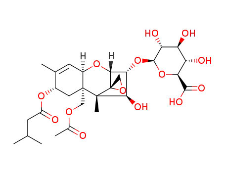 HT-2 독소 3-글루쿠로나이드