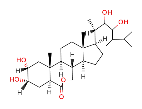 Molecular Structure of 113666-77-6 (2α,3α,22α,23α-tetrahydroxy-24β-methyl-B-homo-7-oxa-5α-cholestan-6-one)