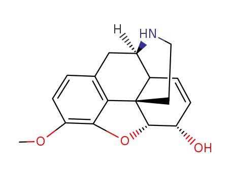 Norcodeine