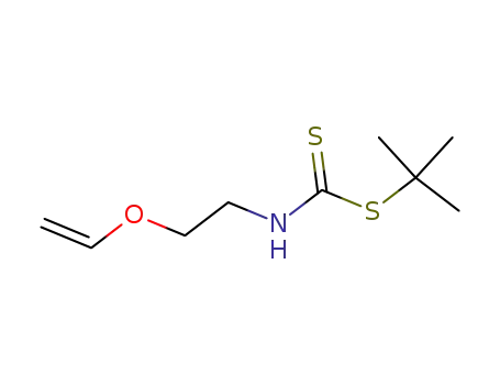Molecular Structure of 126560-48-3 (tert-butyl N-(2-vinyloxyethyl)dithiocarbamate)