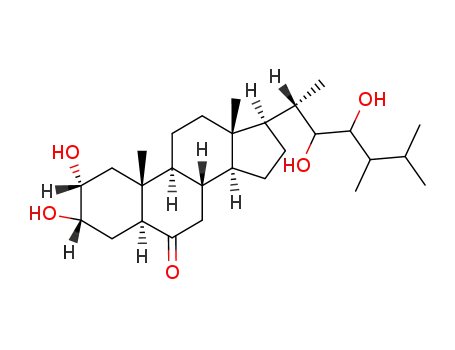 Molecular Structure of 110416-32-5 (2α,3α,22α,23α-tetrahydroxy-24β-methyl-5α-cholestan-6-one)