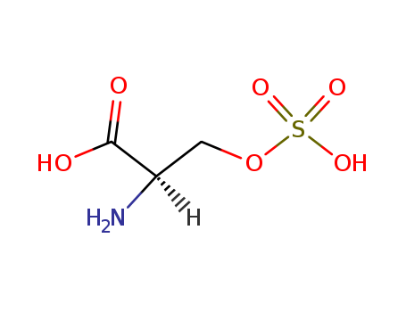 D-Serine, hydrogensulfate (ester) (9CI)