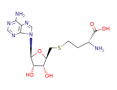 S-アデノシル-DL-ホモシステイン