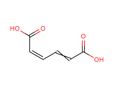 2,4-Hexadienedioic acid