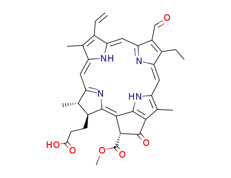 Molecular Structure of 92935-95-0 (Pheophorbide b')
