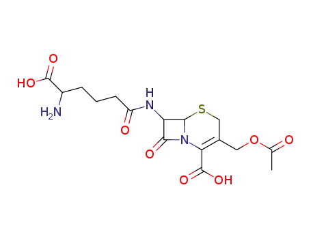 cephalosporin C