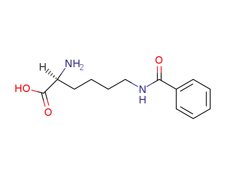 N6-ベンゾイル-L-リシン