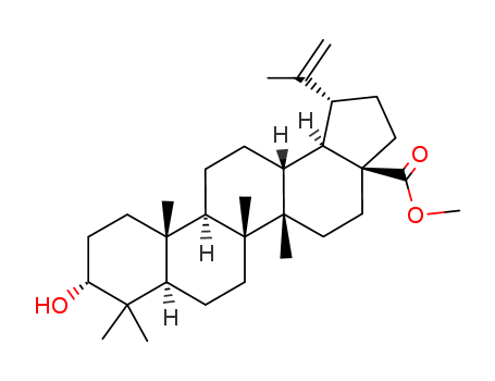 Lup-20(29)-en-28-oicacid, 3-hydroxy-, methyl ester, (3b)- cas  2259-06-5
