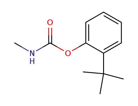 Molecular Structure of 2626-81-5 (o-tert-butylphenyl methylcarbamate)