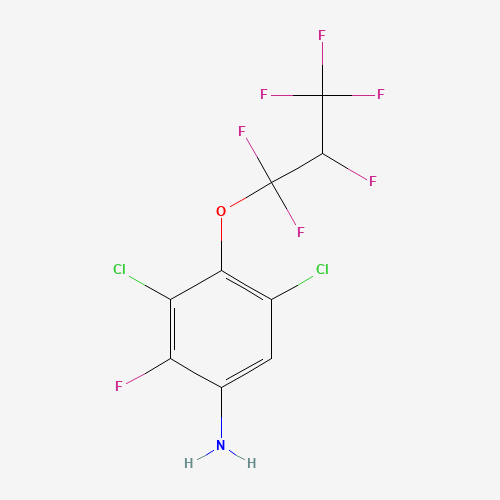 3,5-dichloro-2-fluoro-4-(1,1,2,3,3,3-hexafluoropropoxy)aniline