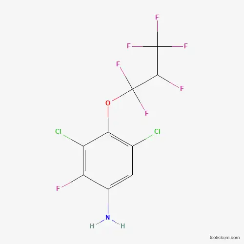 Molecular Structure of 121451-05-6 (3,5-Dichloro-2-fluoro-4-(1,1,2,3,3,3-hexafluoropropoxy)aniline)
