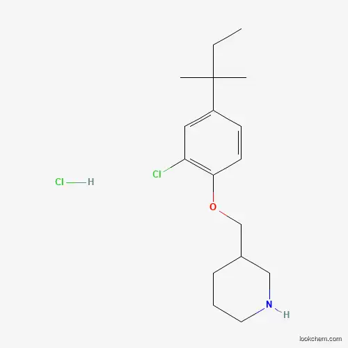 Molecular Structure of 1220032-87-0 (3-{[2-Chloro-4-(tert-pentyl)phenoxy]-methyl}piperidine hydrochloride)