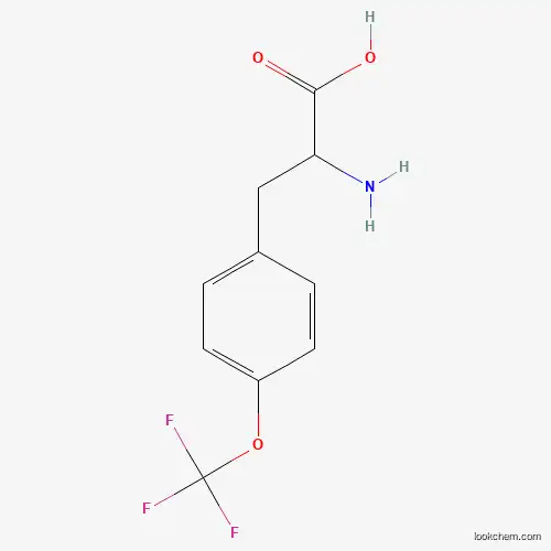 2-AMINO-3-(4-TRIFLUOROMETHOXY-PHENYL)-PROPIONIC ACID