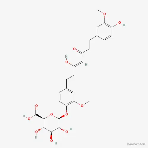 Tetrahydrocurcumin Monoglucuronide