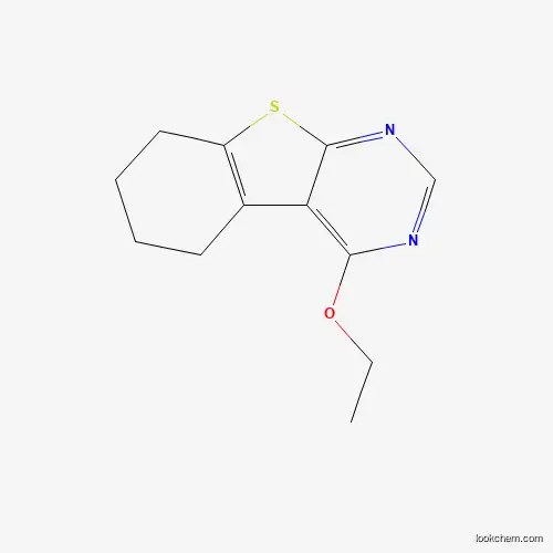 4-ethoxy-5,6,7,8-tetrahydrobenzo[4,5]thieno[2,3-d]pyrimidine