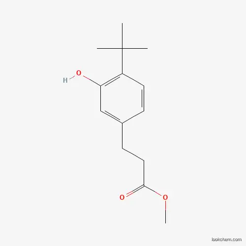 Molecular Structure of 478063-92-2 (Methyl 3-(4-tert-butyl-3-hydroxyphenyl)propanoate)