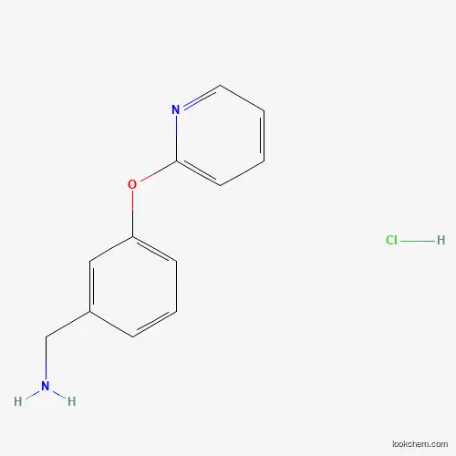 3- (피리딘 -2- 일록시) 벤질 라민 HCL