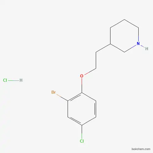 Molecular Structure of 1220032-06-3 (3-[2-(2-Bromo-4-chlorophenoxy)ethyl]piperidine hydrochloride)