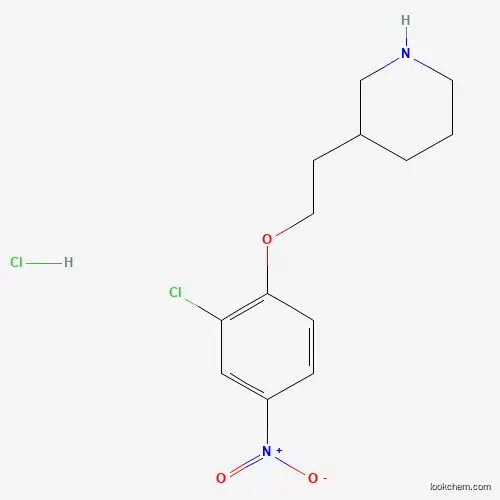 Molecular Structure of 1220039-02-0 (3-[2-(2-Chloro-4-nitrophenoxy)ethyl]piperidine hydrochloride)