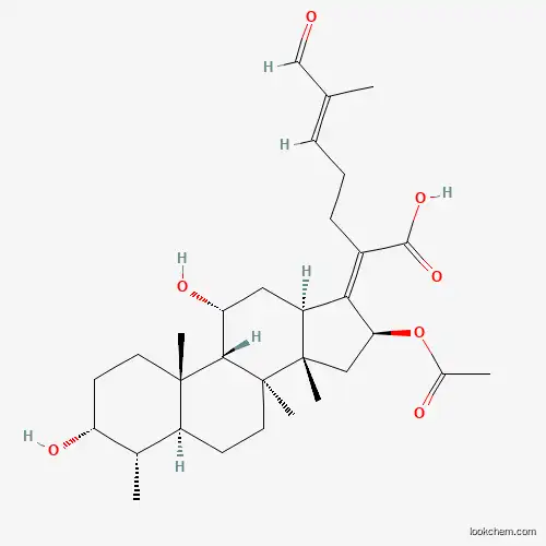 27-Oxo-fusidic Acid CAS No.1415035-94-7