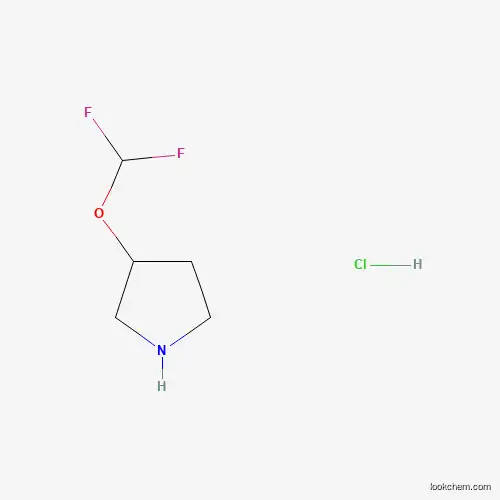 3-(Difluoromethoxy)pyrrolidine hydrochloride