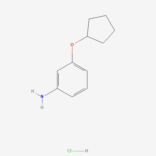 3-(CYCLOPENTYLOXY)ANILINE HYDROCHLORIDE