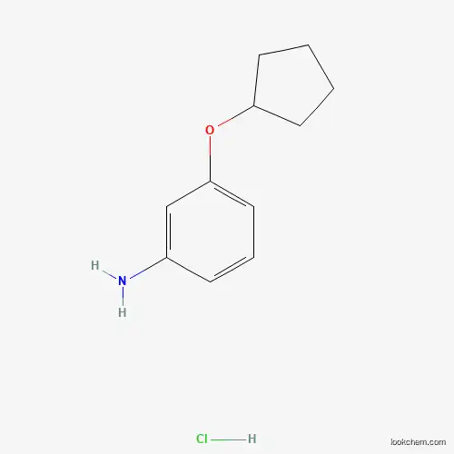 Molecular Structure of 1171382-53-8 (3-(Cyclopentyloxy)aniline hydrochloride)