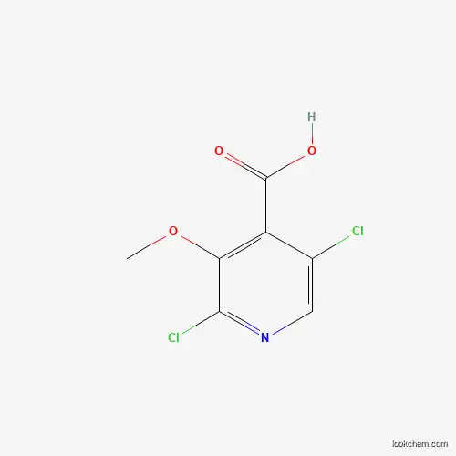 Advantage supply 1305324-55-3  2,5-Dichloro-3-methoxyisonicotinic acid