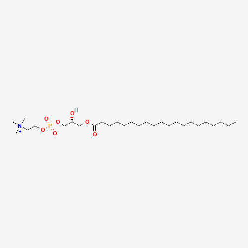 1-ARACHIDOYL-2-HYDROXY-SN-GLYCERO-3-PHOSPHOCHOLINE