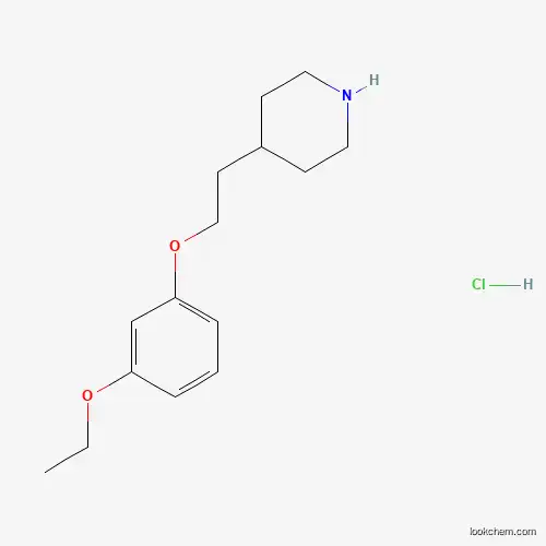 Molecular Structure of 1219982-71-4 (4-[2-(3-Ethoxyphenoxy)ethyl]piperidine hydrochloride)