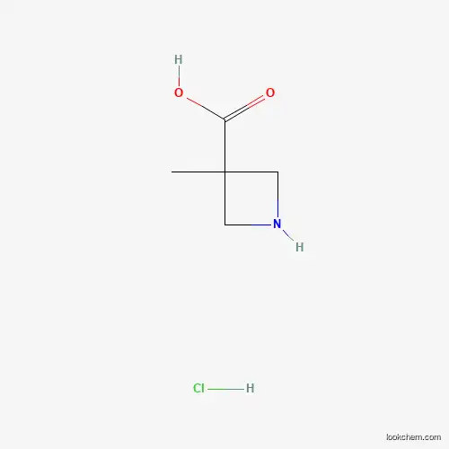 Molecular Structure of 1365411-50-2 (3-Methylazetidine-3-carboxylic acid hydrochloride)