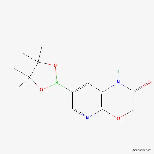 7-(4,4,5,5-tetramethyl-1,3,2-dioxaborolan-2-yl)-1H-pyrido[2,3-b][1,4]oxazin-2(3H)-one
